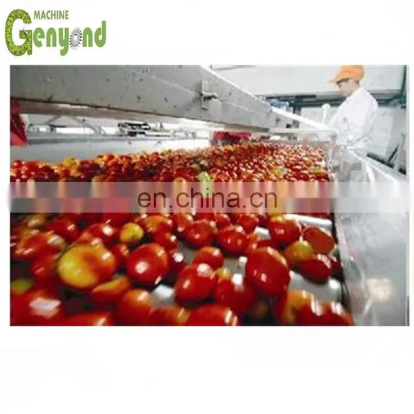 Tomato Paste Production Line Hot Sale photo-5