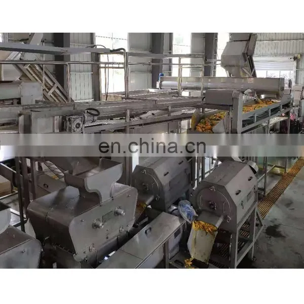 Candied Fruit and Dried Fruit Processing Production Line photo-5
