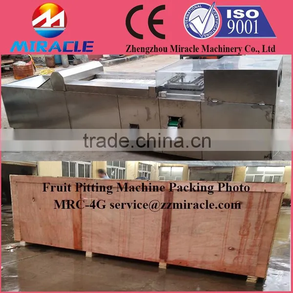 Fast Delivery Date Palm Core Seed Removing Machine From Fruit Process photo-5