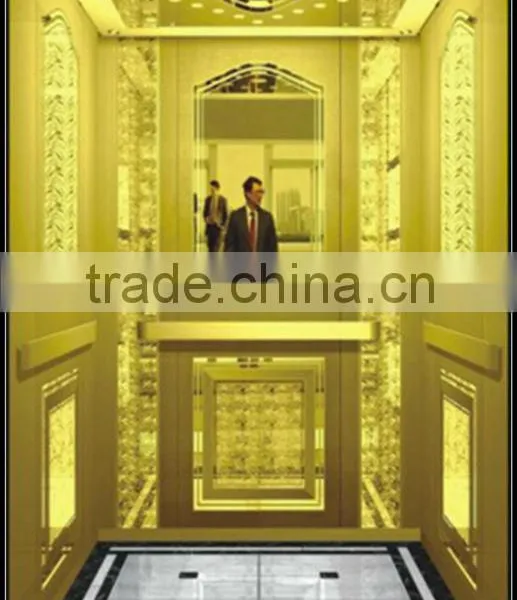 Gearless Traction Machine/Machine Roomless Passenger Elevator WP30-2