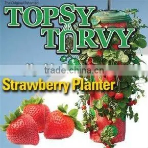 Topsy Turvy Strawberry Planter As Seen On TV