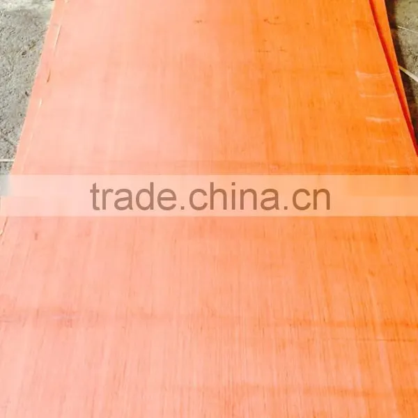 EV Plywood - SAVI
