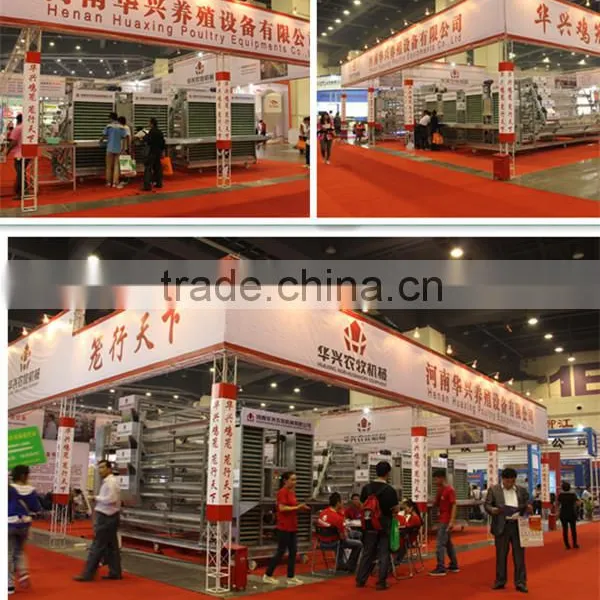 Labor Saving Full Automatic Poultry Broiler Chicken Cage System for Large Farming photo-4