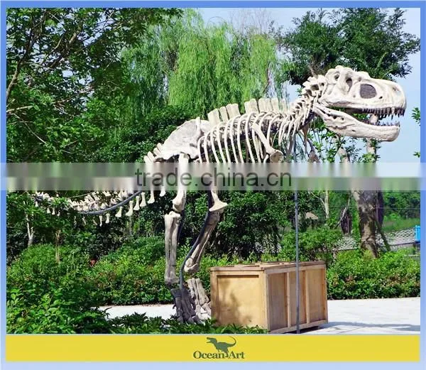 Animated T-rex Dinosaur Skeleton Model photo-3