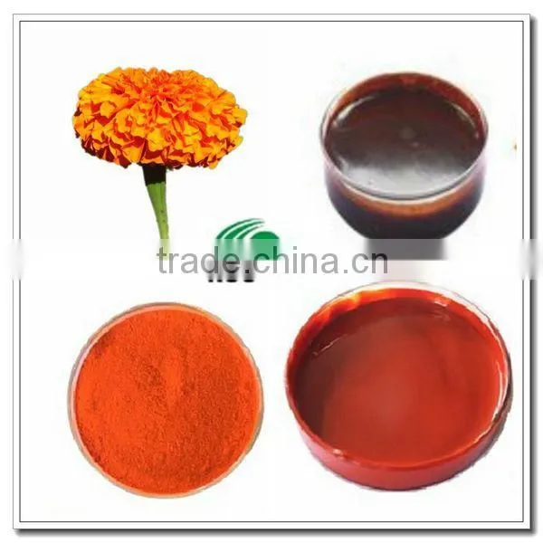 Lutein Oil From Marigold Extract