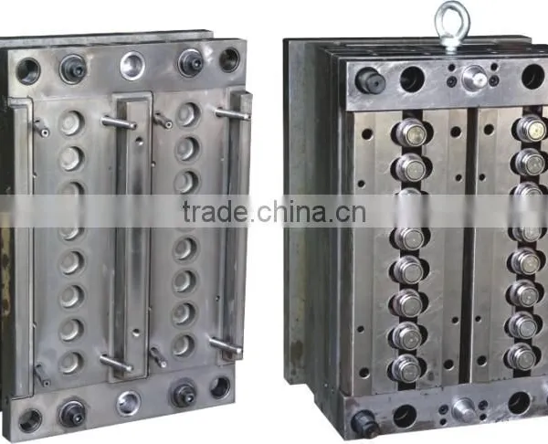 Preform Mould