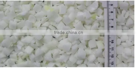 NEW CORP OF FORZEN IQF DICED ONIONS photo-3