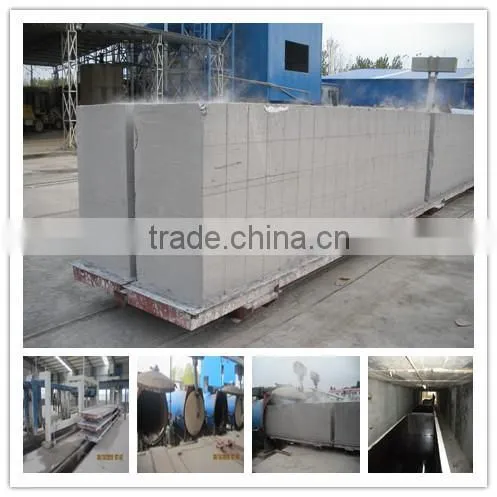 TOP Quality Fully Automatic Aac Autoclaved Aerated Light Weight Concrete Block Machine for Sales - TIANYUAN BRAND photo-2