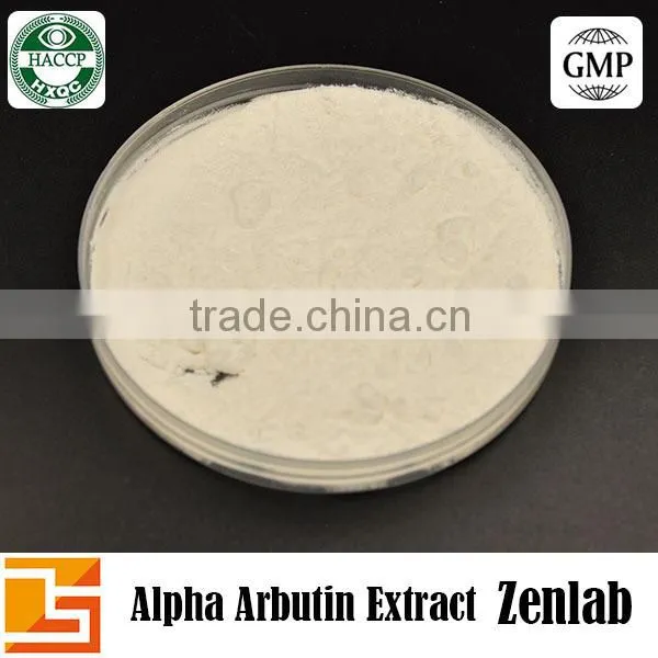 Extract Alpha Arbutin From Powder Bearberry Leaf for Skin Whitening photo-2