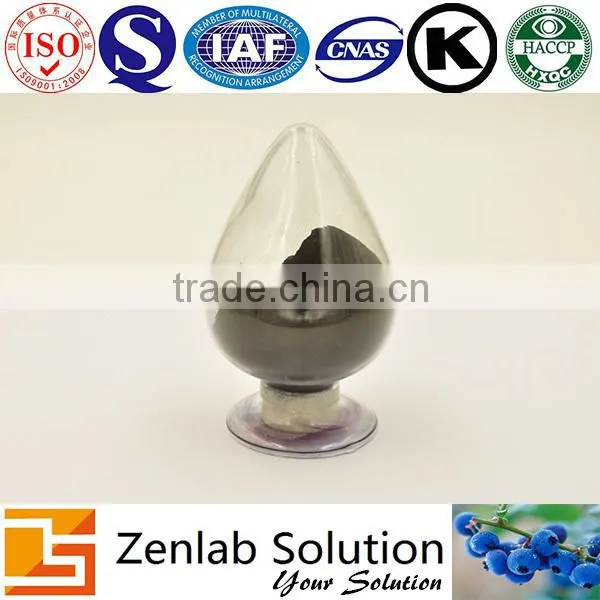Hot Sale Pure Bilberry Fruit Powders, Bilberry Anthocyanidins photo-3