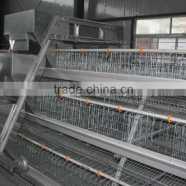 Hot Sale Layer Chicken Cages For Farm From Factory photo-3