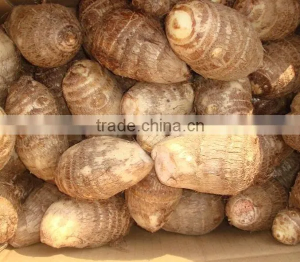Chinese Dried Taro With Taro Root Plant Photos photo-2