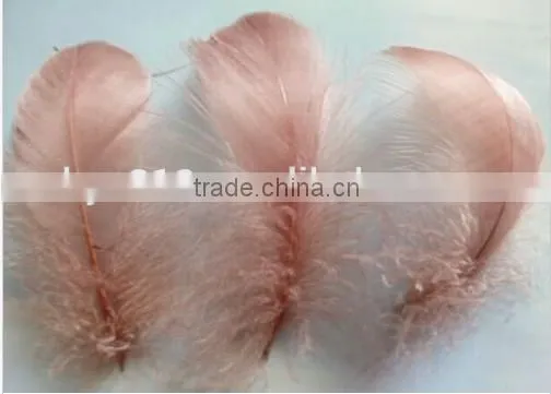 Natural Goose Feather Floating 10-15cm photo-4