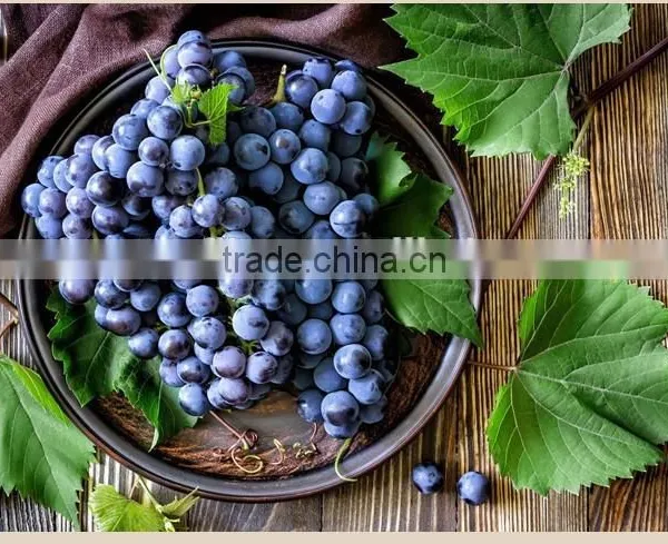 Fresh Grapes for Sale photo-3