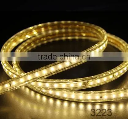 220v 230v Smd 5050 Swimming Pool Led Strip Lighting photo-4