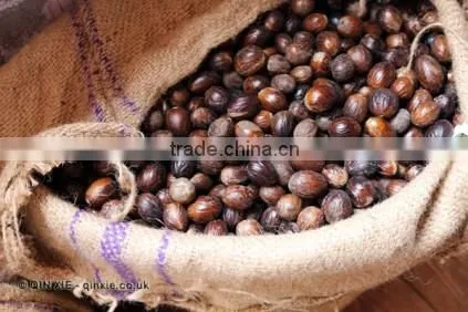 Nutmeg photo-3