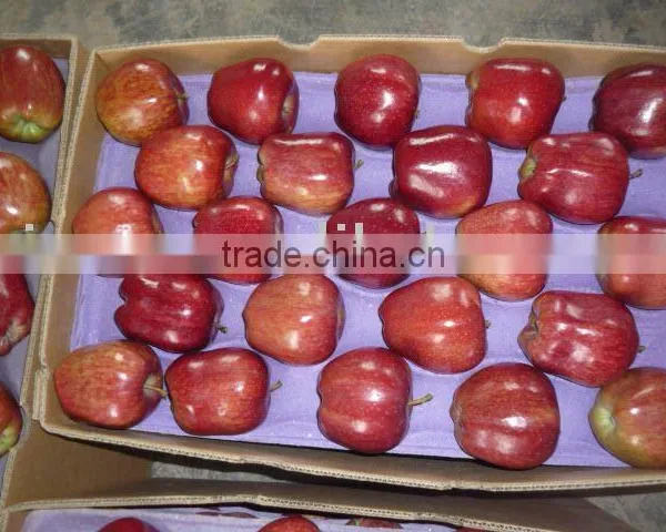 Gansu Huaniu Apple