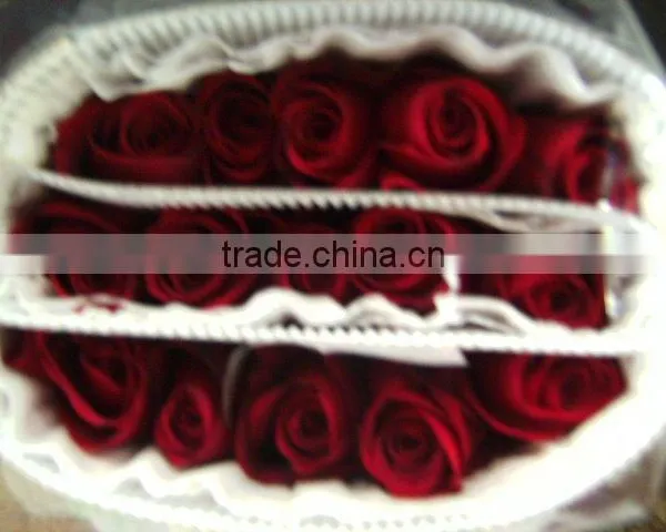 Export Rose Fresh Cut Flowers From Yunnan of China photo-5