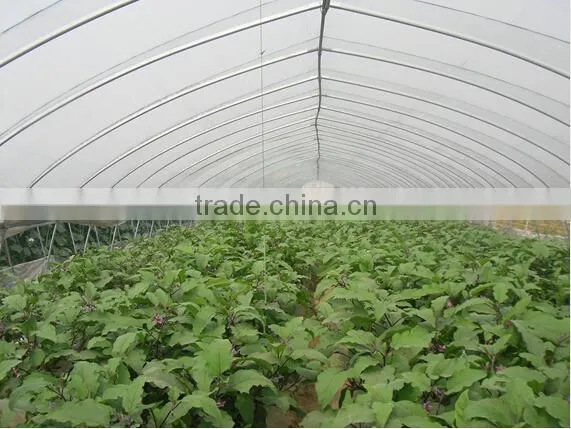 PE Film for Vegetables and Fruits