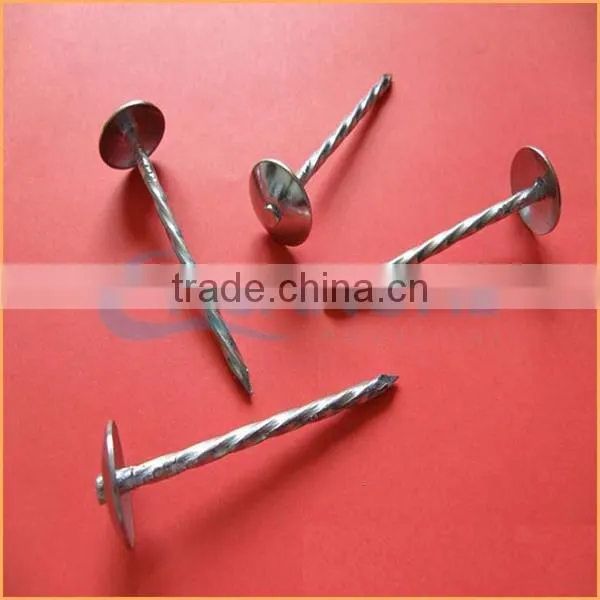 Top Quality Plastic Cap Roofing Nails Trusted Chuanghe Suppliers From Com photo-4