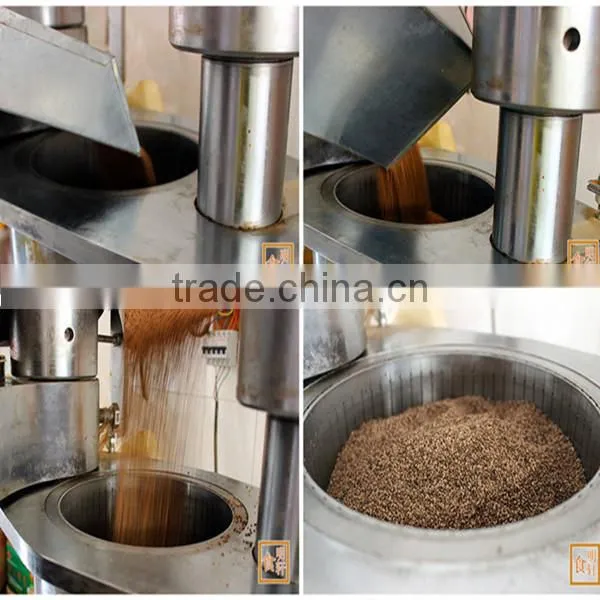 QI'E Automatic Almond Oil Press Machine photo-3