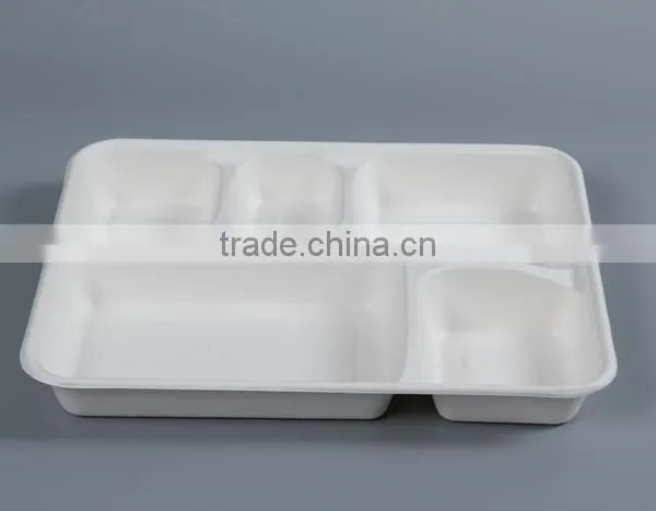 5 Compartment Shallow Tray From Sugarcane photo-2