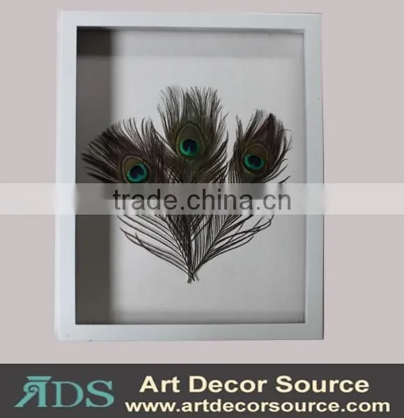 Shadow Box Wall Art With Feather