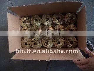 Coil Roofing Nail on Hot Sale China Supplier on Sale photo-3