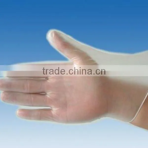 Food Prepared Food Service Vinyl Gloves photo-4