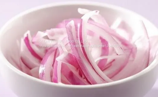 Frozen Onion Slice photo-2