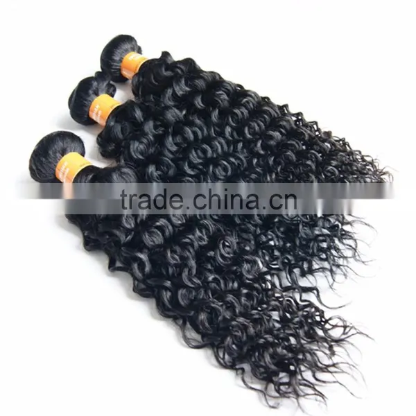 Black Rose China Hair Factory Brazilian Virgin Curly Hair Weaving photo-4