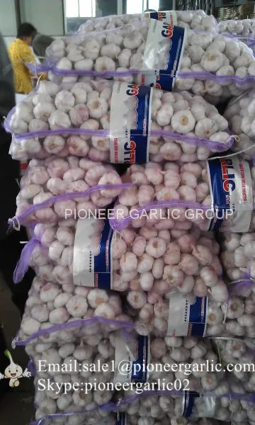 New Crop Fresh Jinxiang Normal White Garlic 5cm And Up In Mesh Bag Packing photo-3