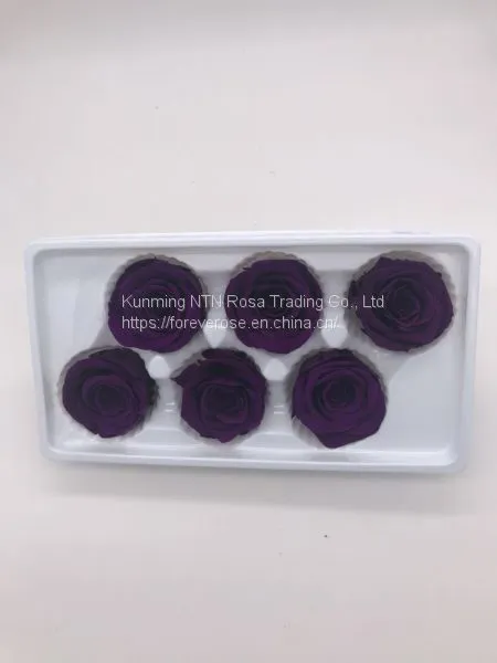 Preserved Fresh Roses Flower for Home Decoration photo-4