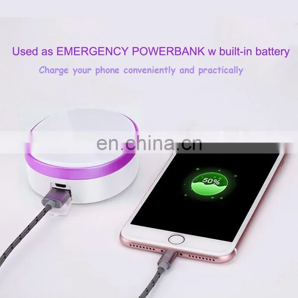 2018 New Arrival Best Selling 3 in 1 Portable Compact Facial Steamer USB Powerbank photo-3