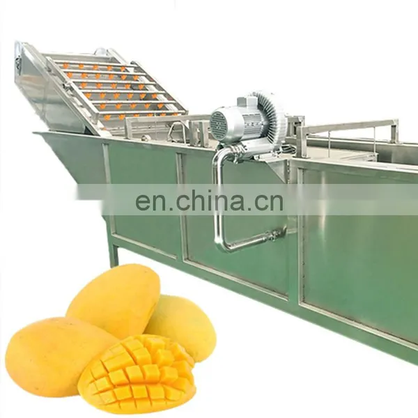 Automatic Fresh Fruit Processing Mango Pulp Manufacturing Process