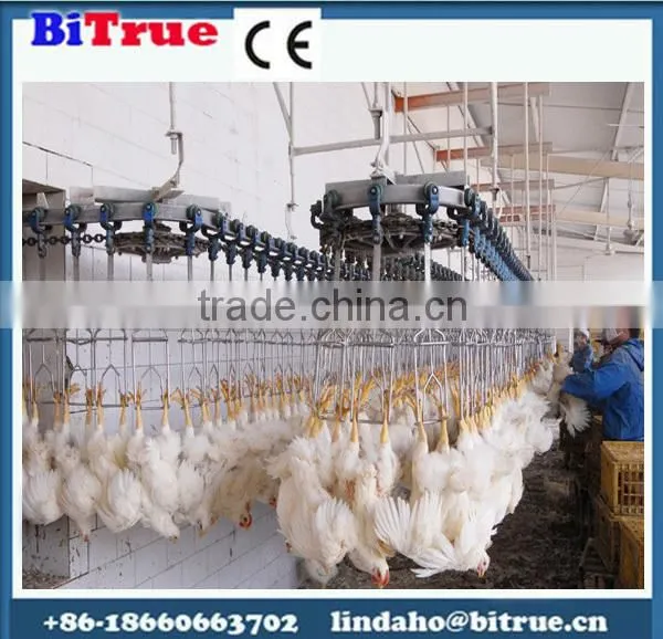 CE Hot Sale poultry processing machine