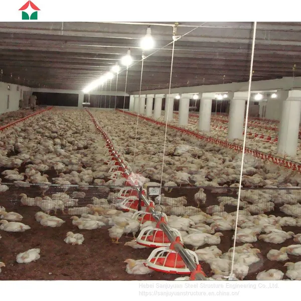 Chicken Broiler Houses photo-2