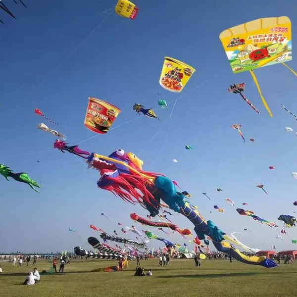 OEM All Shapes, Design and Kinds of Kites for Advertising and Activities Occasions