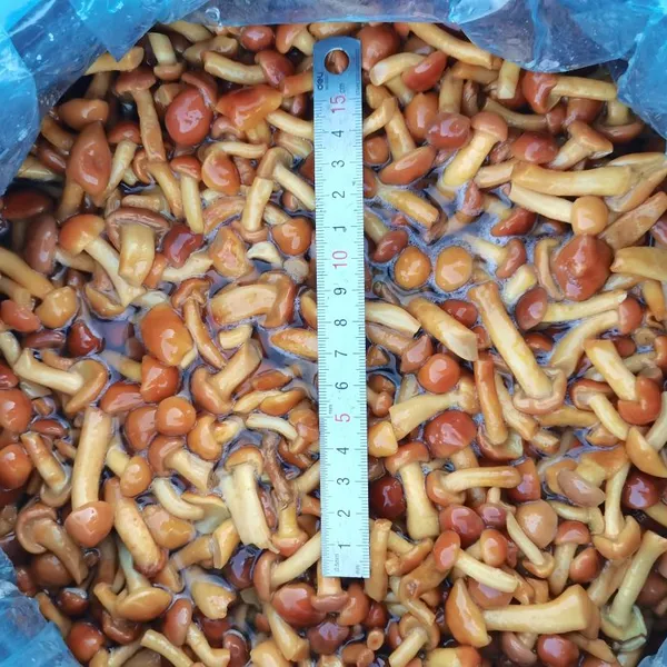 Nameko in Brine A Grade photo-3