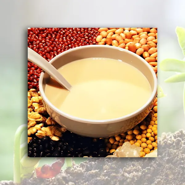 Flavored Soymilk Powder photo-5