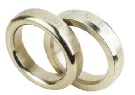 Ring Joint Gasket
