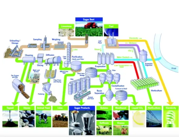 Genyond Sugar Beet Processing Line photo-5