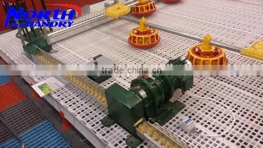 Best Quality Automatic Poultry Feeder and Drinker Poultry Farming Equipment for Sale in UAE photo-5