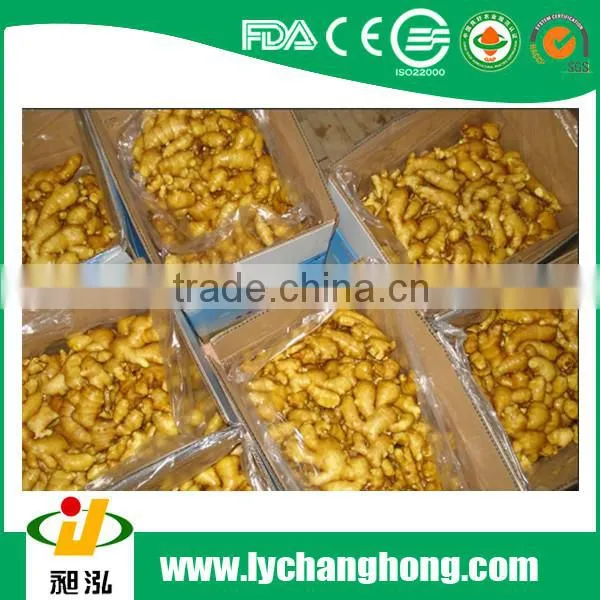 2015 New Crop Shandong Origin Fresh Gingers photo-2