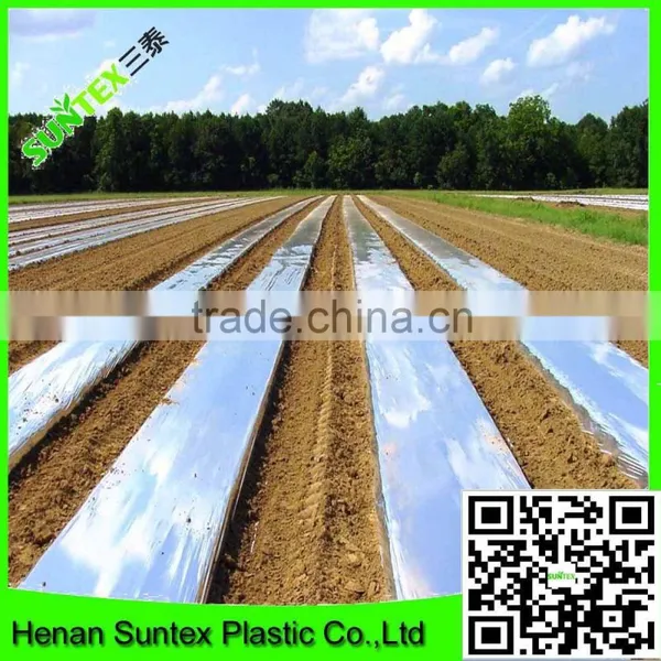 PE Plastic Black-Silver Plastic Mulch Film Punch Hole /agricultural Mulch Film/biodegradable Mulch Film photo-6