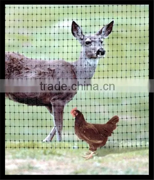 Plastic Deer Fence photo-4
