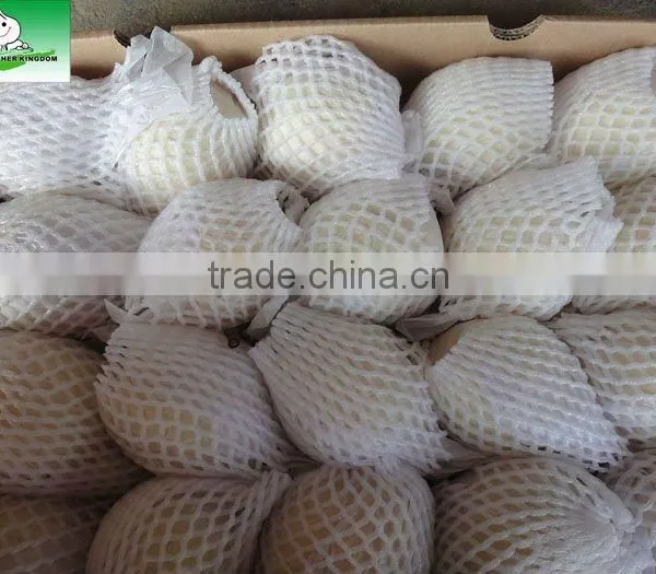 2013 Fresh Pear 18kg 96# photo-2