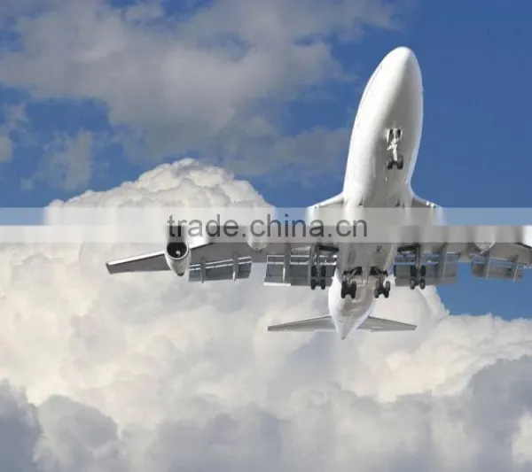 Safe Shenzhen International Freight Forwarder
