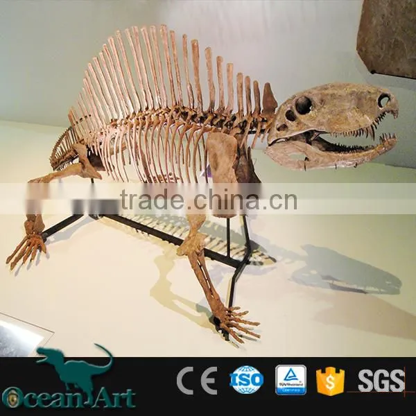 OA-DS-16051301 Replicated Dinosaur Fossils photo-2