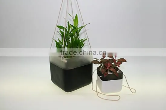 2016 New Indoor Home Decor Planter photo-2